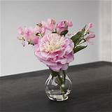 Pictures of Peony Flowers Qvc