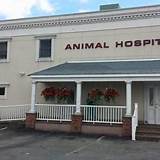 Pictures of Animal Hospital Freeport Ny