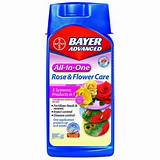 Images of Bayer Advanced Fungus Control Home Depot