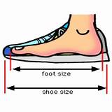 Foot Size To Shoe Size Images