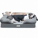 Cheap Dog Beds For Large Dogs Images
