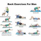Images of Lower Back Muscle Exercises At Home