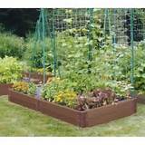 Vegetable Garden Design Images
