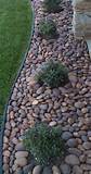 Types Of River Rock Landscaping Photos