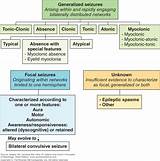 Jacksonian Seizure Treatment Pictures