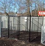 Electric Wire Dog Fence