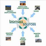 Photos of Biomass Is It Renewable