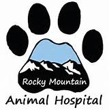 Mountain Animal Hospital Photos