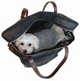 Pet Travel Carriers Small Dogs