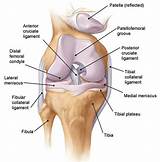 When To See A Doctor For Knee Pain