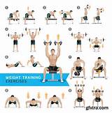 Pictures of Exercises For Weight Lifting