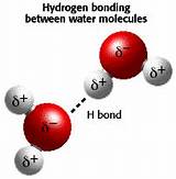 Hydrogen And Oxygen Bond Pictures