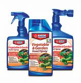 Organic Vegetable Pest Spray Images