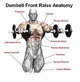Deltoid Muscle Strengthening Exercises Pictures