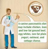 Foods For Pancreatitis Recovery Images