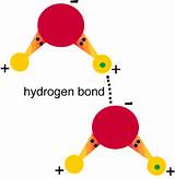 Pictures of A Hydrogen Bond Is