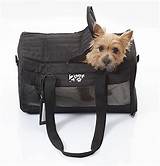 Pet Carrier Size For Airlines Photos