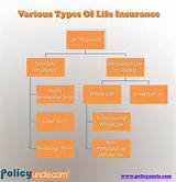 Group Life Insurance Types Images