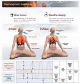 Images of Breathing Exercises Using Diaphragm