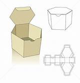Packaging Net Template Pictures