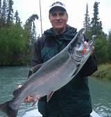 Images of Silver Salmon Fishing In Alaska