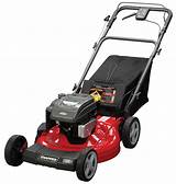 Self Propelled Gas Lawn Mower Images