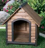 Outdoor Air Conditioned Dog House Photos