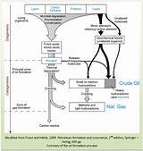 Pictures of Petroleum And Natural Gas Form From _____