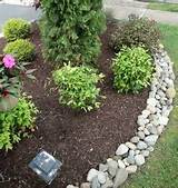 Images of Mulch Vs Rock Landscaping
