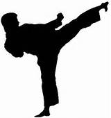 Best Martial Art Kicks