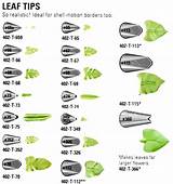 Pictures of Wilton Flower Tips Chart