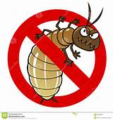 Anti Termite Logo Pictures