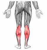 Gastrocnemius Muscle Exercises Photos