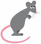 Rat Cartoon Pictures