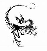Dinosaur Fossil Stencil Pictures