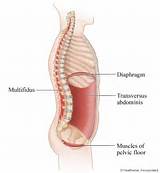 Diaphragm Muscle Strengthening Exercises