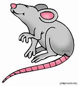 Rat Clipart Pictures