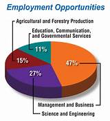 University Of Michigan Employment Opportunities