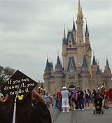 Disney World Graduation Images