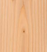 Fir Or Pine Wood Pictures