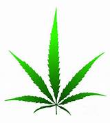 Images of Marijuana Leaf