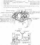 John Deere 3020 Gas Wiring Diagram