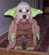 Images of Dog Clothes Yoda