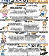 Pictures of Exercise Routine Gym Lose Weight