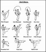 Photos of Karate Basic Training Exercises