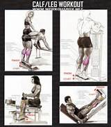 Images of Workout Exercises At The Gym