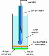 Images of Gas Permeable Membrane