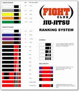 Images of Order Of Belts In Jiu Jitsu