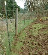 Electric Fence For Feral Hogs Pictures