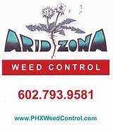 Weed Control Scottsdale Az
